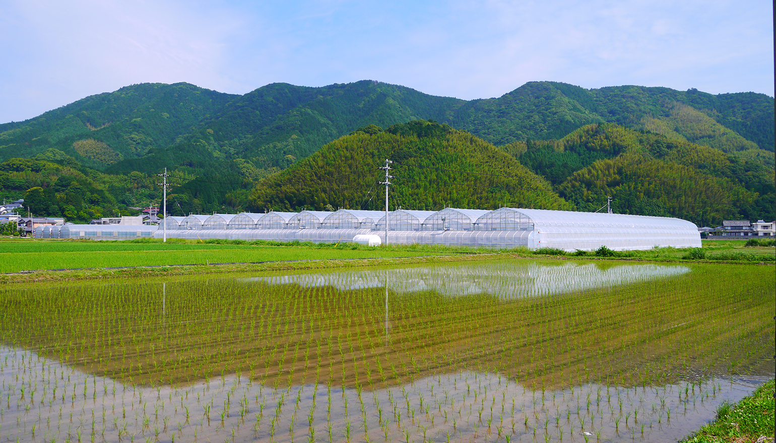 業務提携会社 - トクノウ株式会社